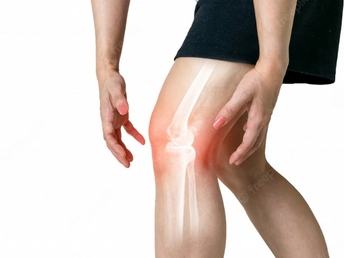 Knee joint illustration